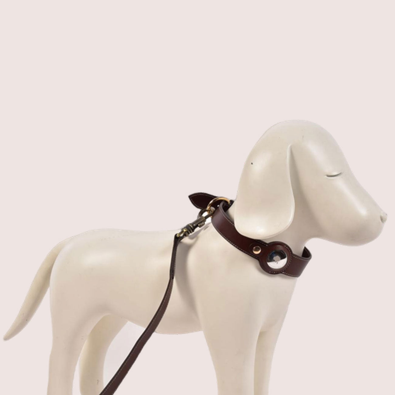 Dog Collar with Air Tag & Leash
