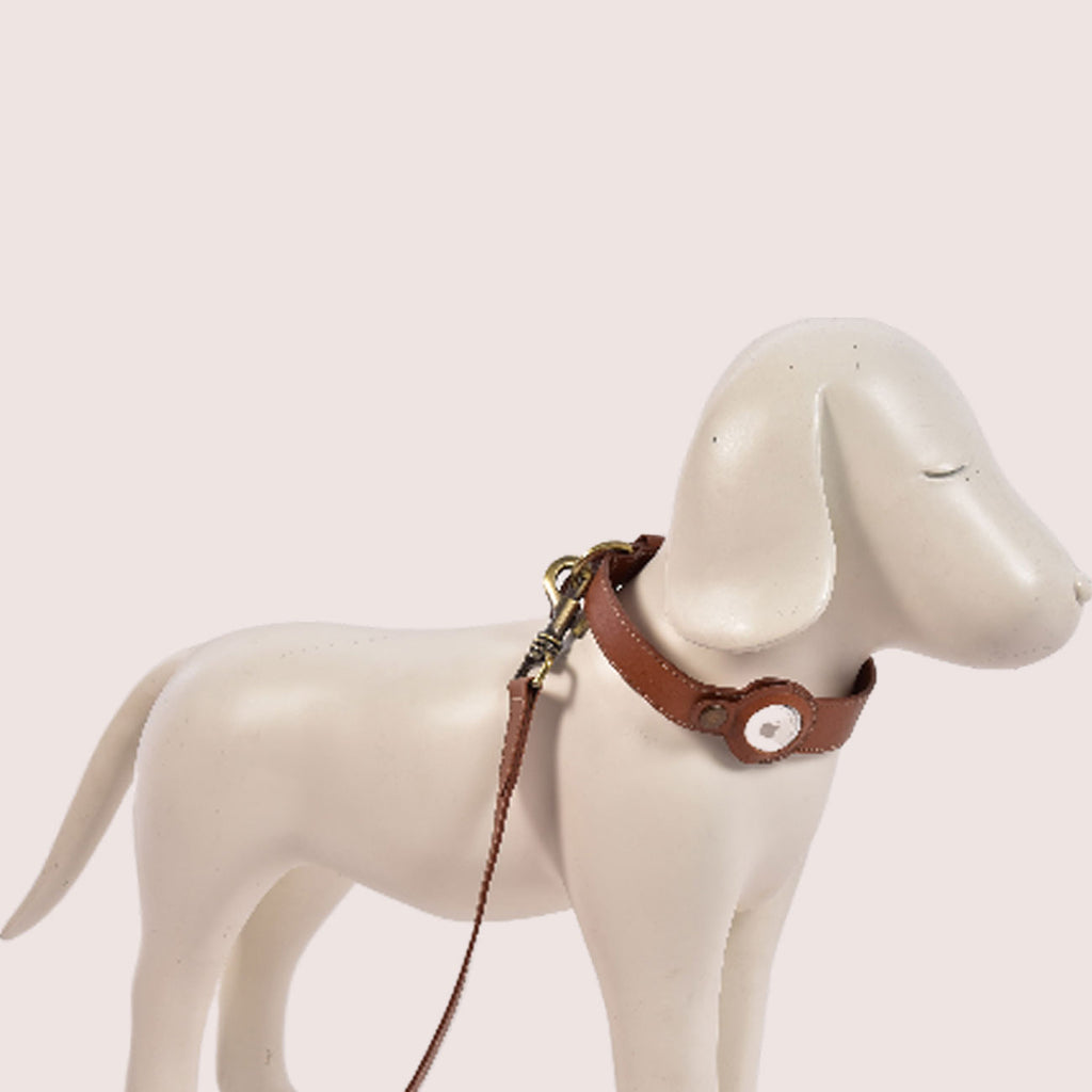 Dog Collar with Air Tag & Leash