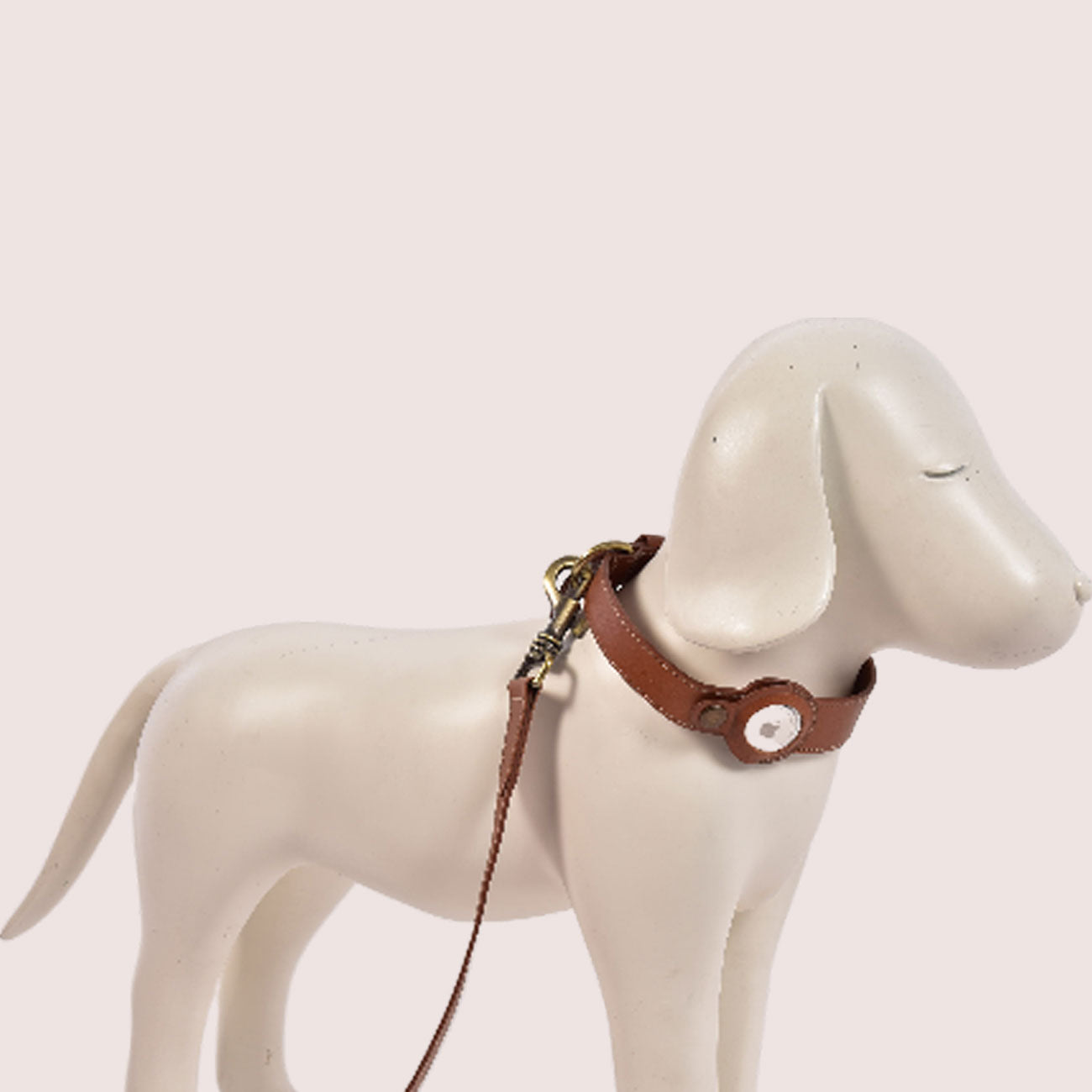 Dog Collar with Air Tag-14