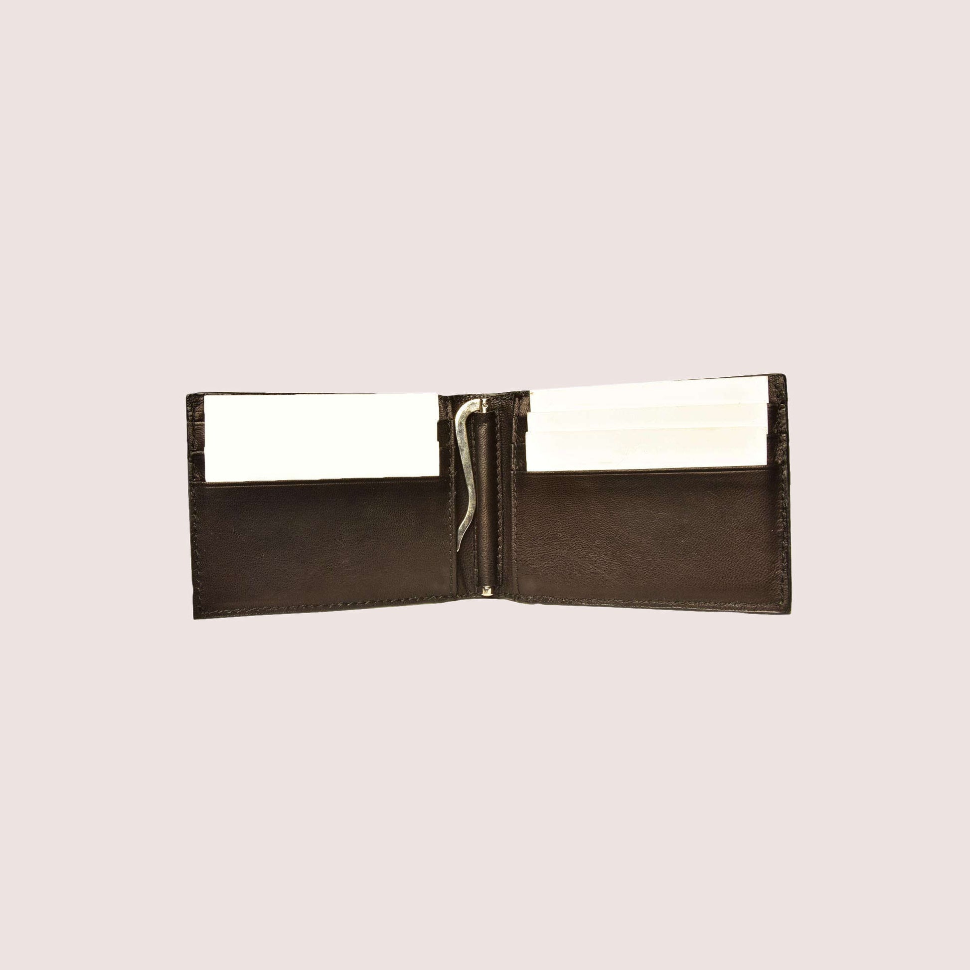 Zürich Wallet