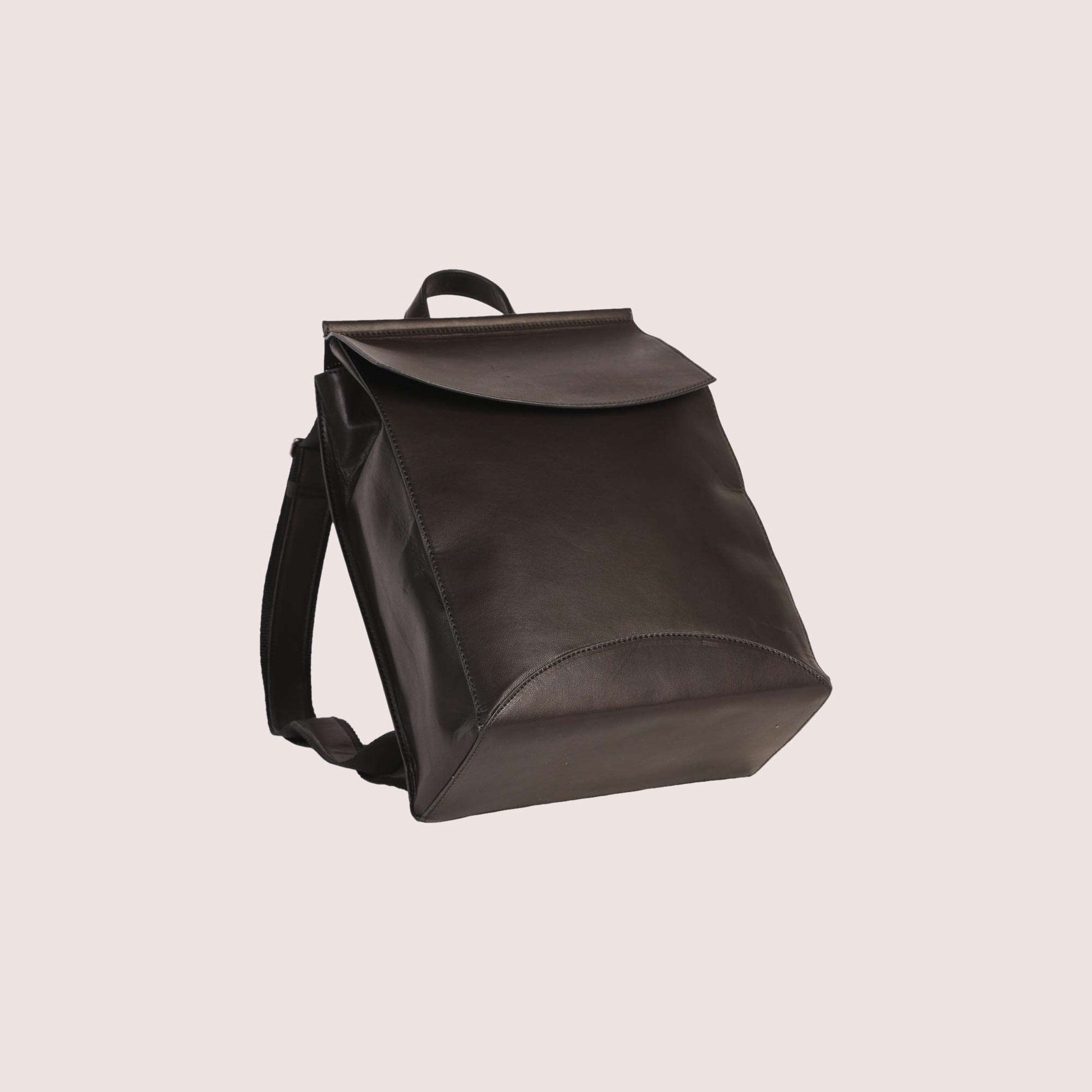 Franzen Backpack