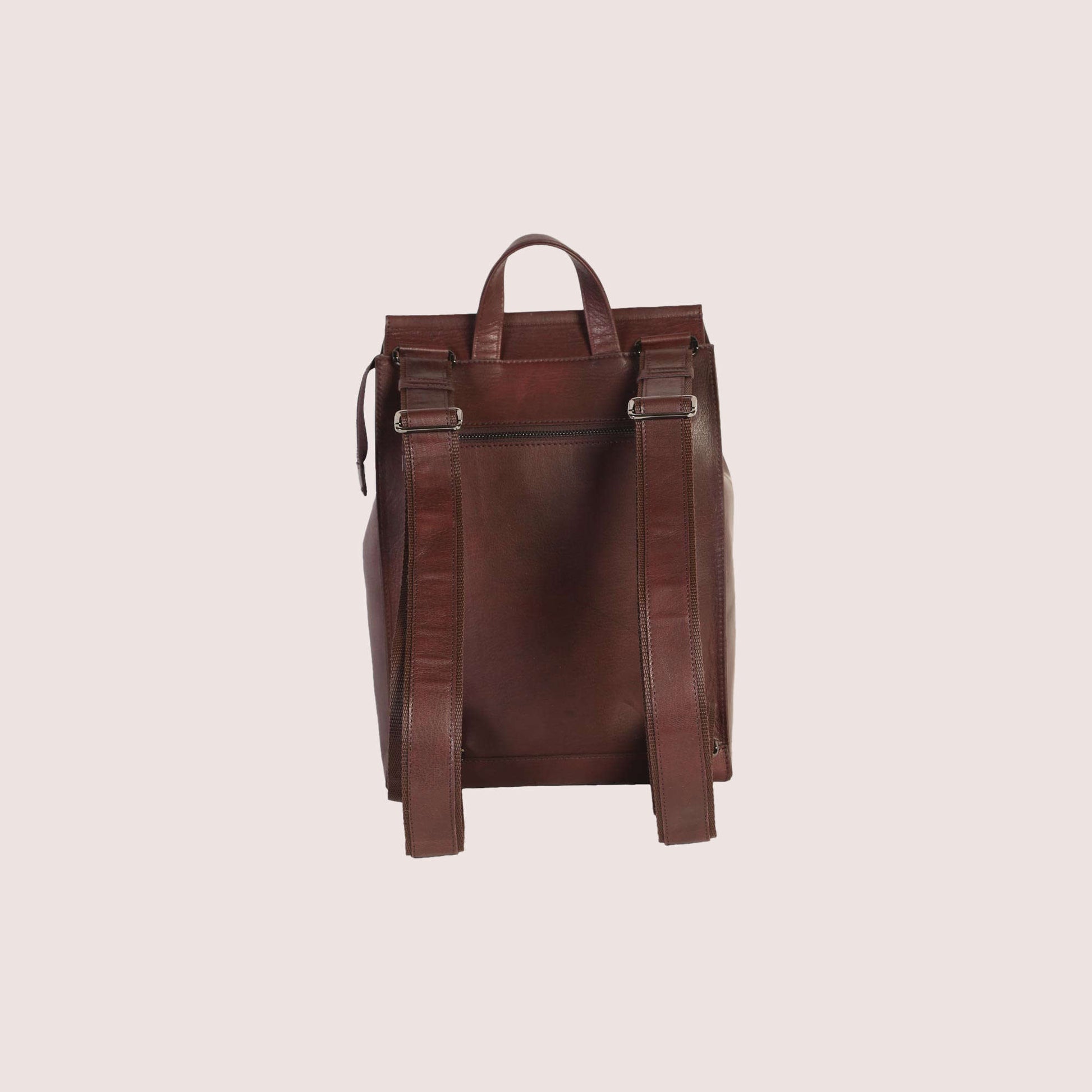 Franzen Backpack