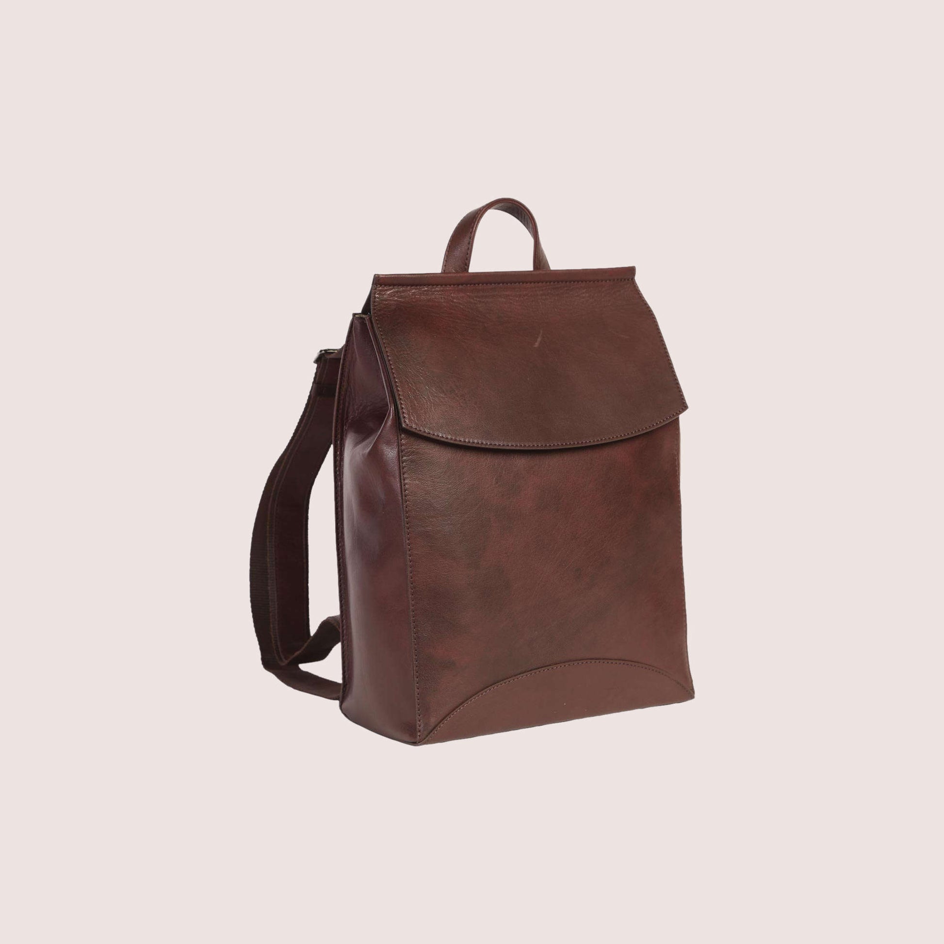 Franzen Backpack