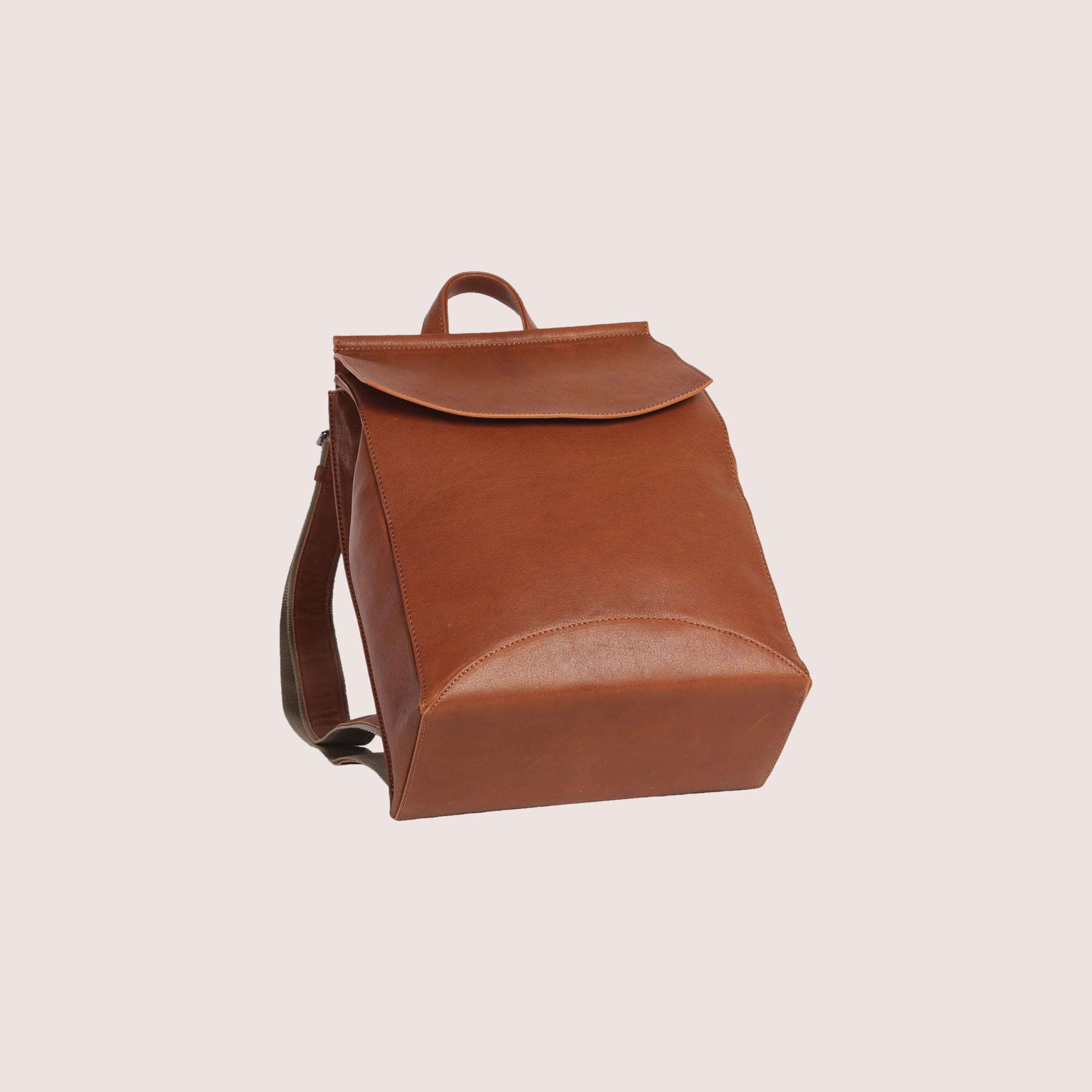 Franzen Backpack
