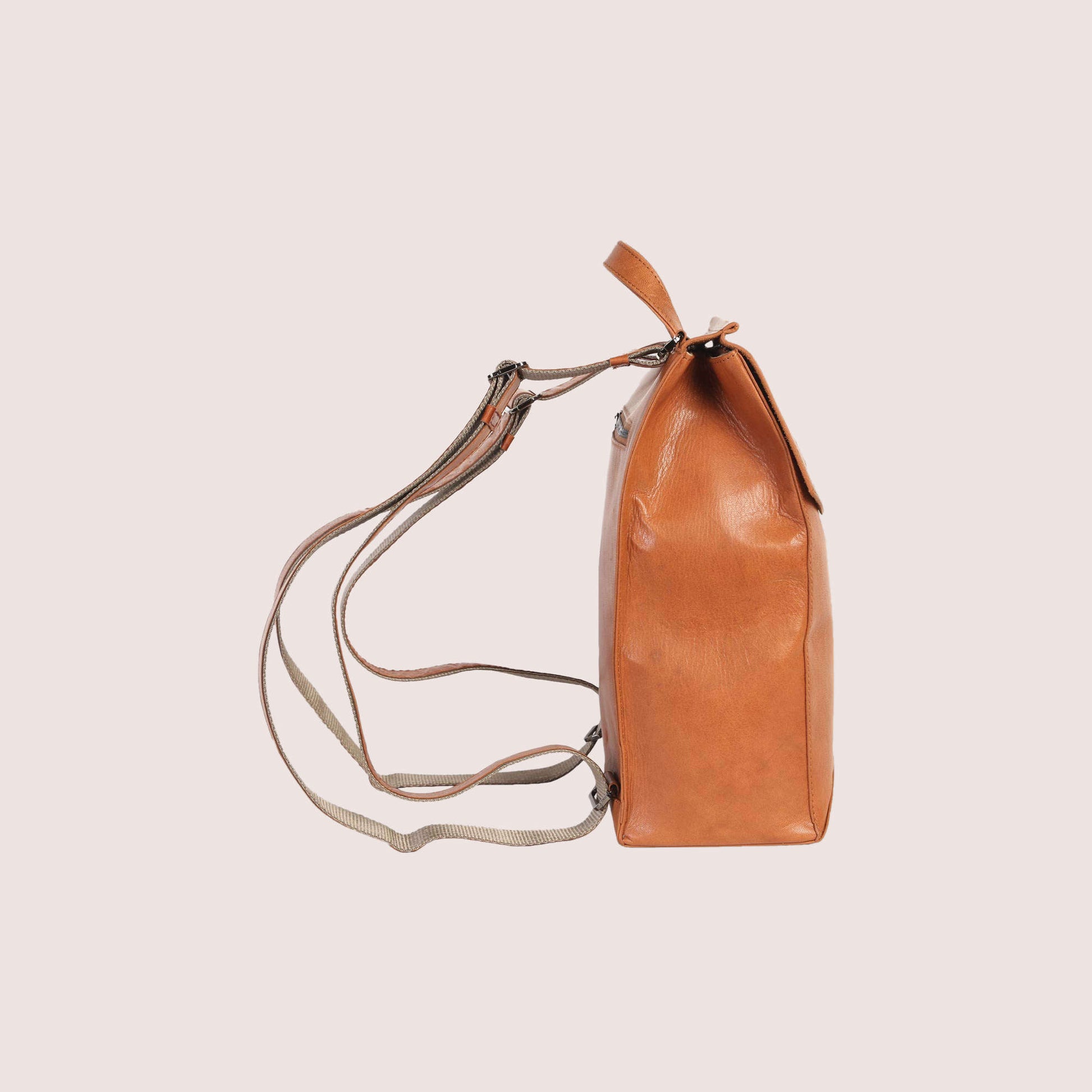 Franzen Backpack