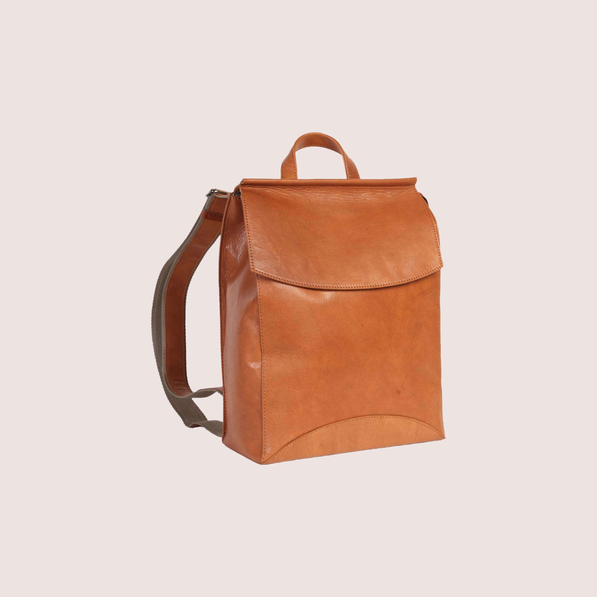 Franzen Backpack