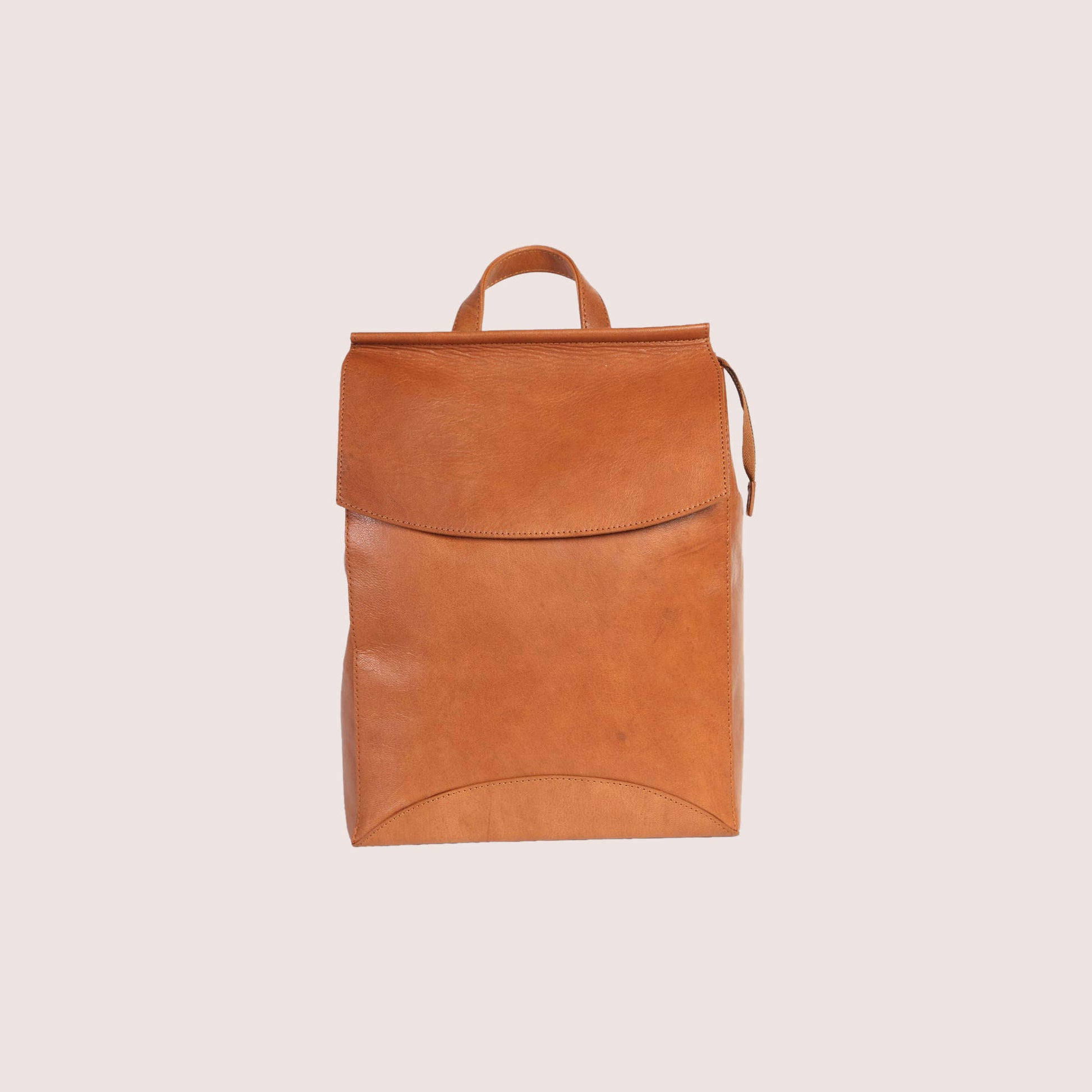 Franzen Backpack
