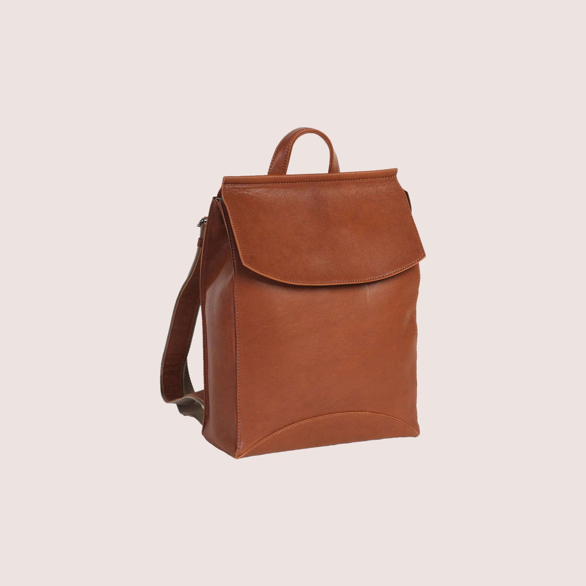 Franzen Backpack