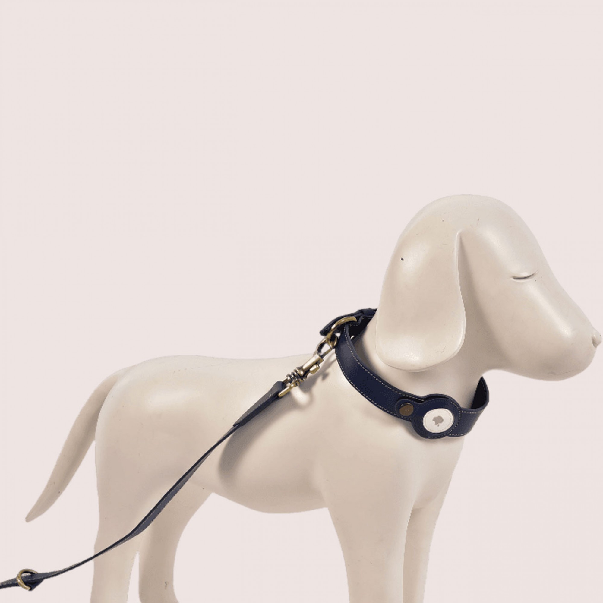 Dog Collar with Air Tag & Leash
